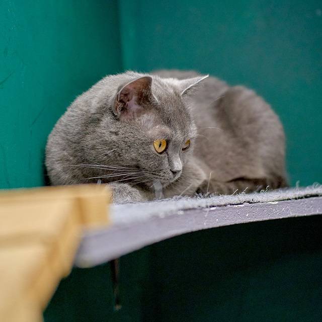 P1wP2Fw_p5Rf1ZNZr1yvxCUbq5bUWOPwO6xFpz19Dx8FHkdb3t_Zf1PjRt4tr3YK9MzwZWfulX3CAfR2l2U3Nt7F.jpg P1wP2Fw_p5Rf1ZNZr1yvxCUbq5bUWOPwO6xFpz19Dx8FHkdb3t_Zf1PjRt4tr3YK9MzwZWfulX3CAfR2l2U3Nt7F.jpg