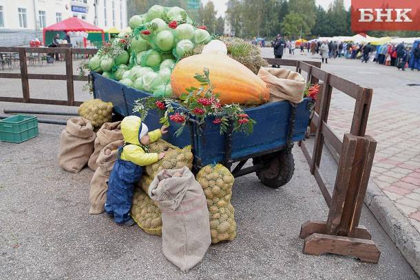 Эндокринолог назвал осенний суперфуд