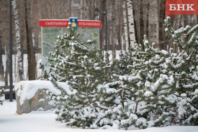 На Коми надвигаются снегопады