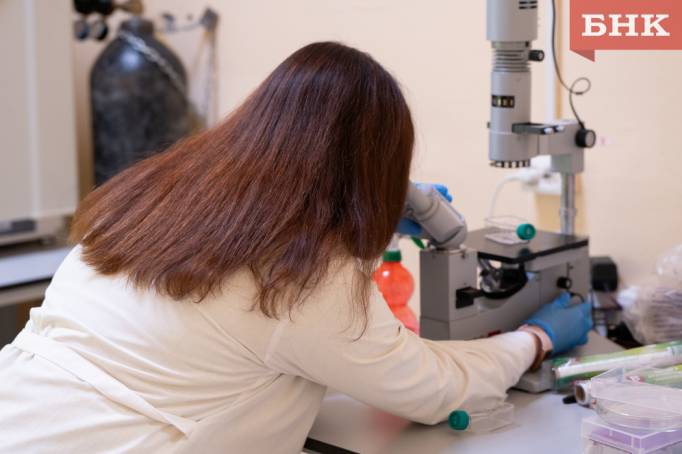 Ученые обнаружили в Коми следы тропических и арктических организмов