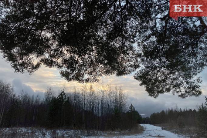 Очередной циклон принес в Коми временное потепление