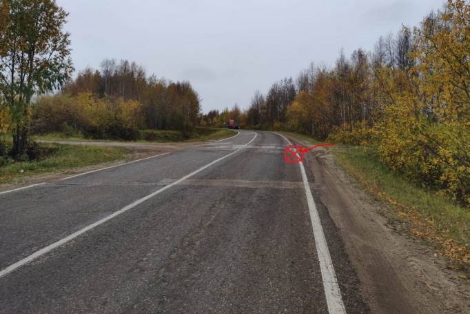 Пьяный водитель «потерял» пассажира возле Щельяюра