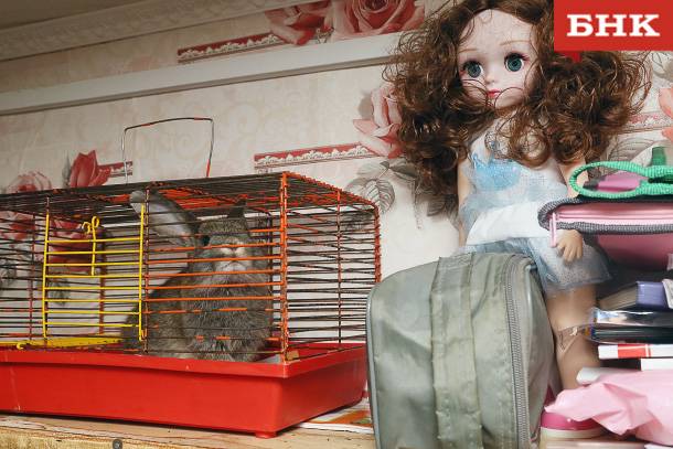 В Сыктывкаре составили портрет семейного абьюзера