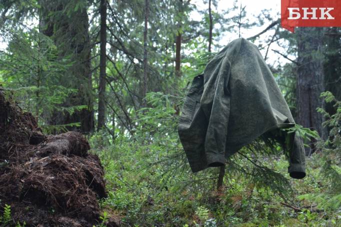 Лесная делянка и закрытая парковка: 10 самых дорогих объектов на торгах в Коми