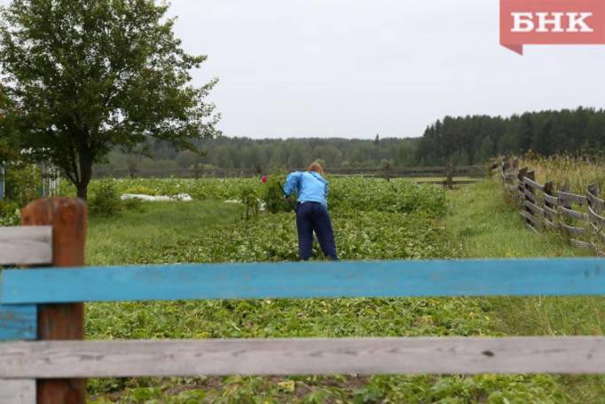 Жительница Сысольского района не смогла получить компенсацию за мусор и помои у своего забора