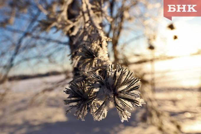 В Коми пришли зимние морозы