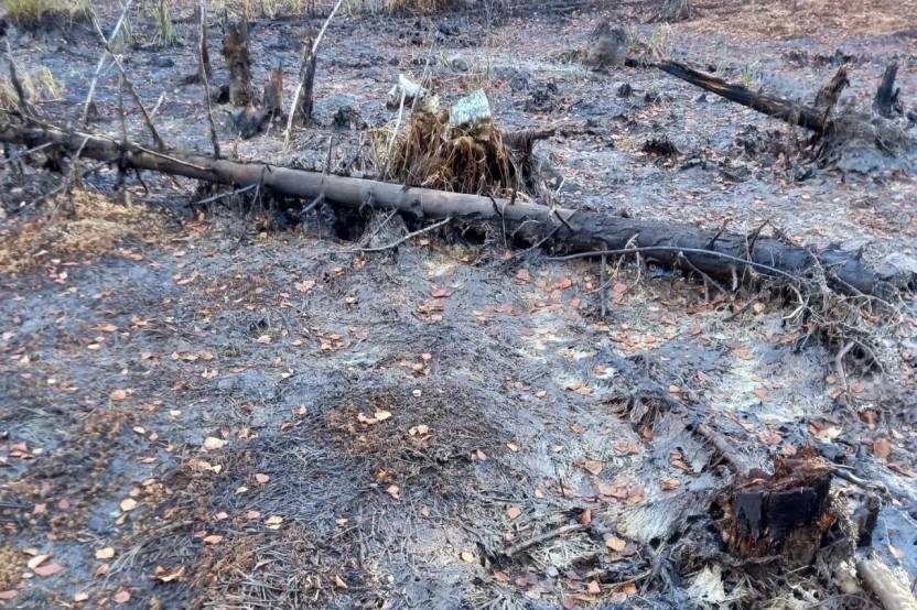 v-rayone-deyatelnosti-OOO-Nizhneomrinskaya-neft.jpg v-rayone-deyatelnosti-OOO-Nizhneomrinskaya-neft.jpg