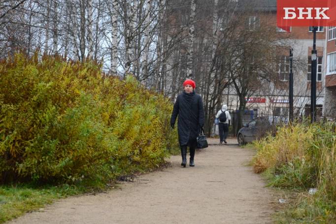 DSC_0238.jpg DSC_0238.jpg