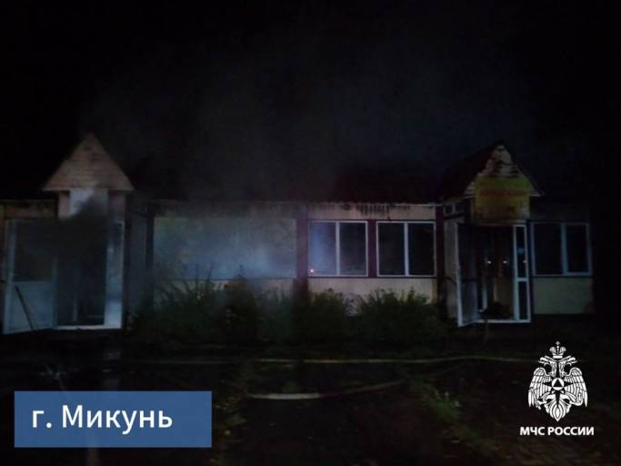 В Микуни сгорели магазин и дачный дом