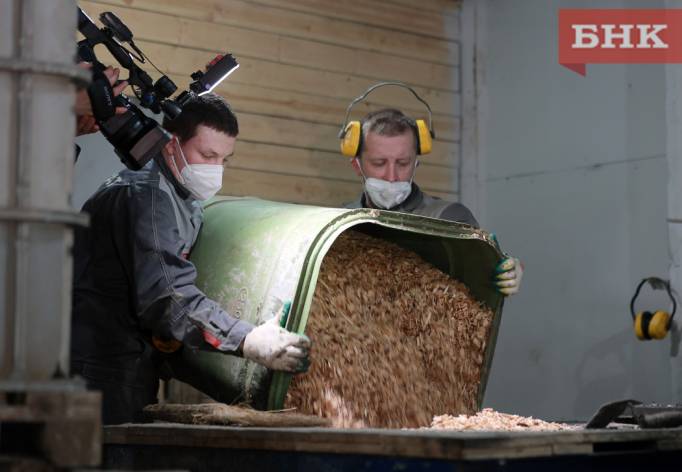Больше бумаги и тепличных овощей, меньше угля и фанеры: что стало с экономикой Коми за три квартала