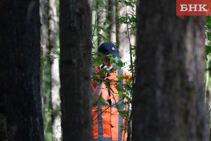 В Койгородском районе пожилая женщина не вернулась из леса