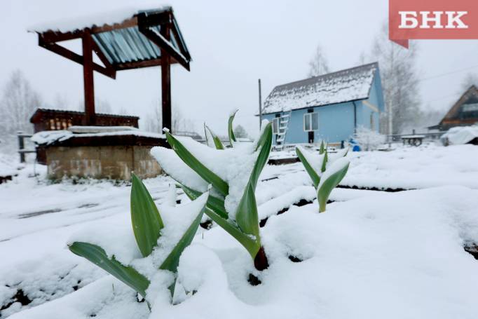 Юрист предупредил об изъятии дачных участков весной