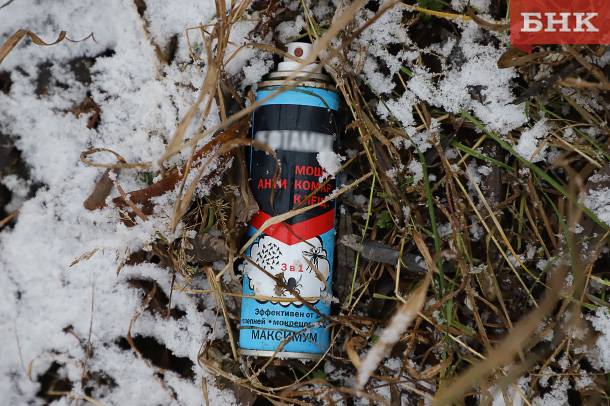 Сапер из Коми рассказал о сюрпризах под ногами