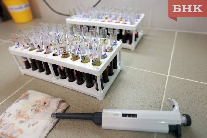 Врач рассказала об уровне угрозы и мерах защиты от нового штамма гриппа