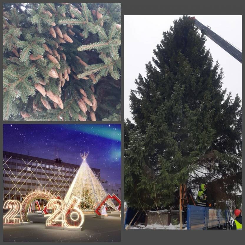 gEOK-JhjAZ0AZqfQtalhOuU-QF2Z7f2ezFMZyO3upmBKJn018jiTxHjjejKeZQ-dzdHaNRYzn-jI_oNJLr0eagAO.jpg gEOK-JhjAZ0AZqfQtalhOuU-QF2Z7f2ezFMZyO3upmBKJn018jiTxHjjejKeZQ-dzdHaNRYzn-jI_oNJLr0eagAO.jpg