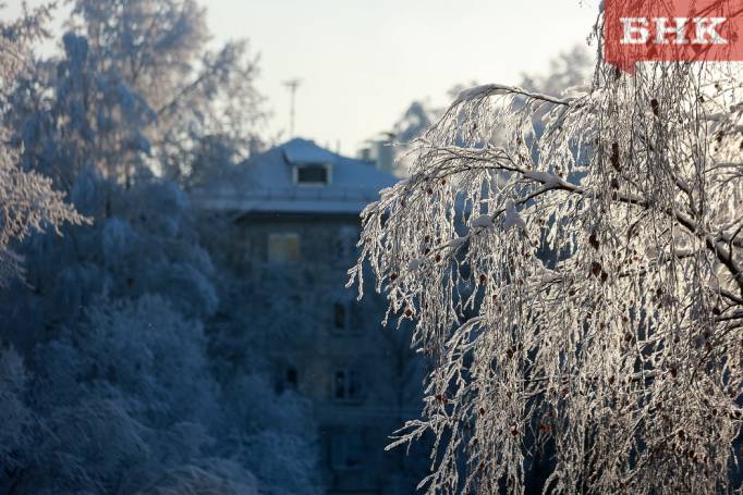 Морозный туман накрыл север Коми