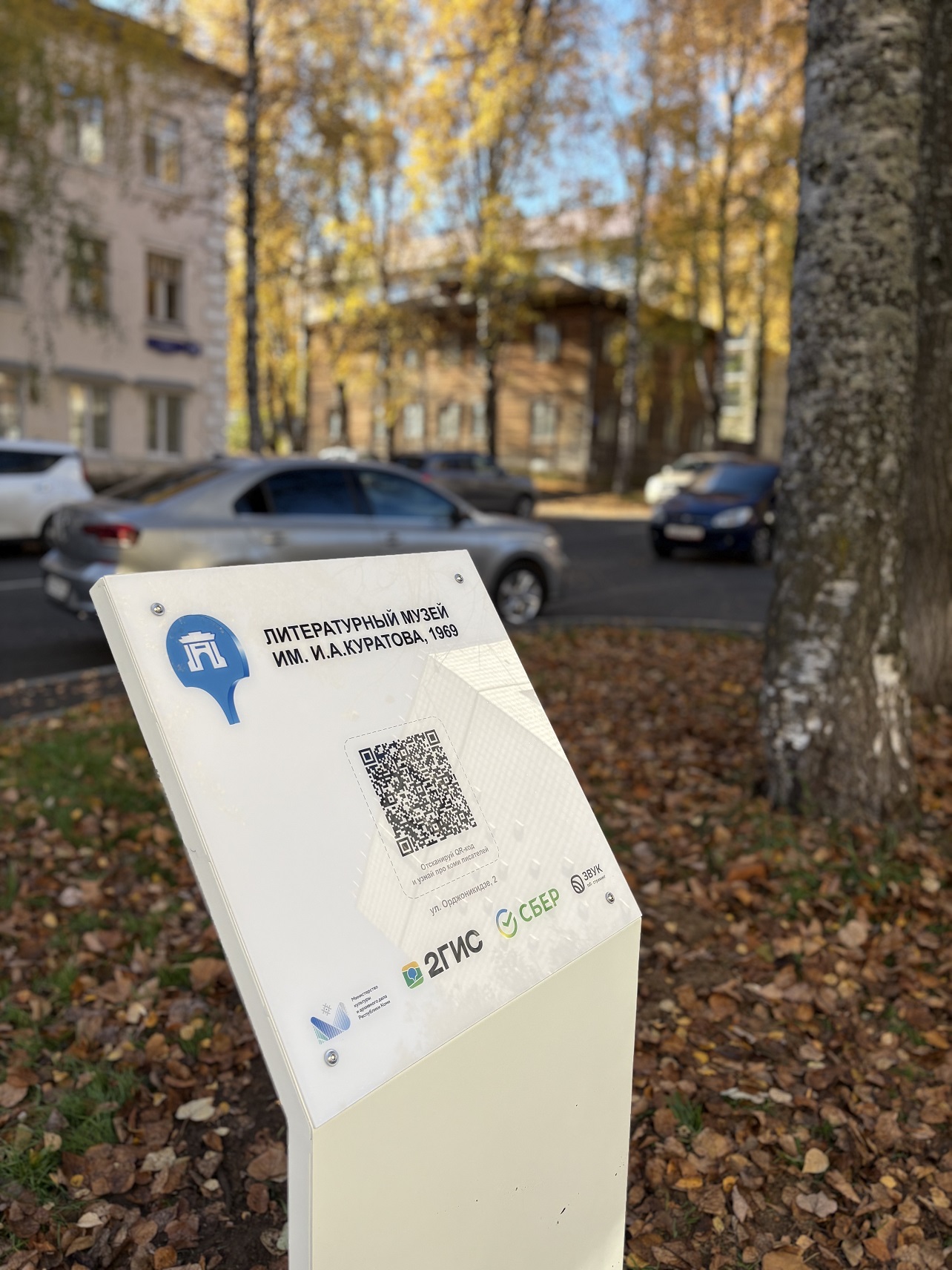 IMG_6369(1).jpeg IMG_6369(1).jpeg