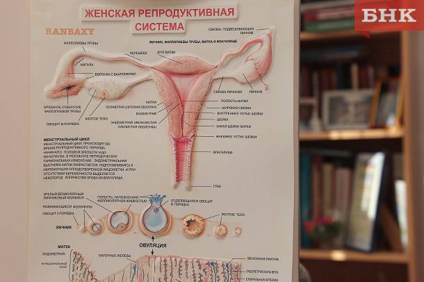 Молодежь Коми не спешит проверять свое репродуктивное здоровье
