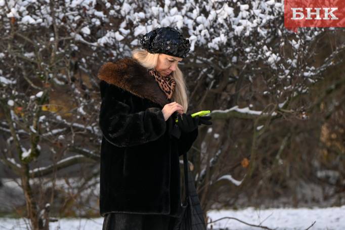 Минцифры расширило «белый список» сайтов