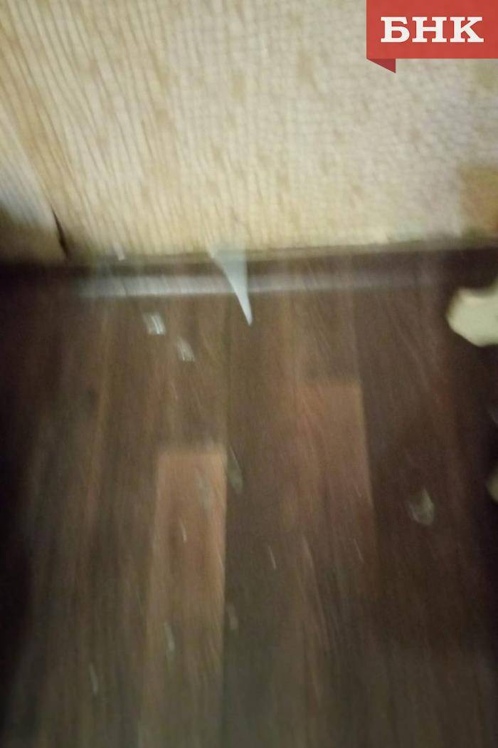 5449786811535720251.jpg 5449786811535720251.jpg