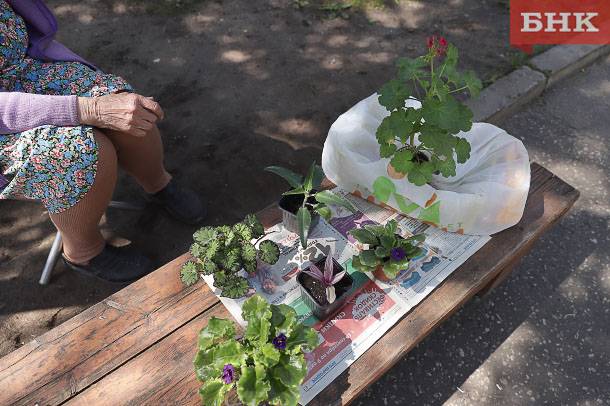 Суд обязал 70-летнюю ухтинку заплатить за плевок в лицо продавцу на рынке