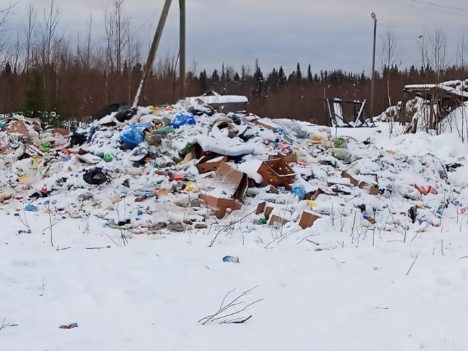 Факт сжигания отходов на свалке под Троицко-Печорском подтвердился