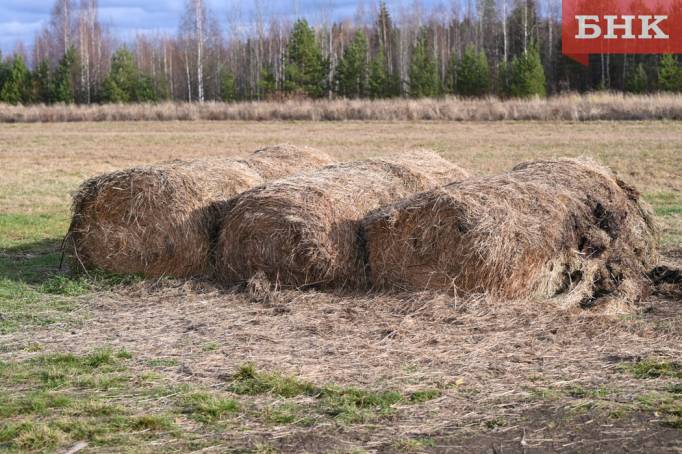 Аграрии Коми перевыполнили план по заготовке кормов